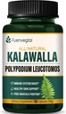 Kalawalla Racines Capsules, Polypodium Leucotomos Extract Suppléments Support Système immunitaire, santé de la peau, et la défense des radicaux libres, dure 3 mois. 90 Compte