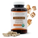 Secrets des capsules de saule blanc de Tribe 800 mg USDA Saule blanc biologique (Salix Alba) Barque séchée (120 capsules)