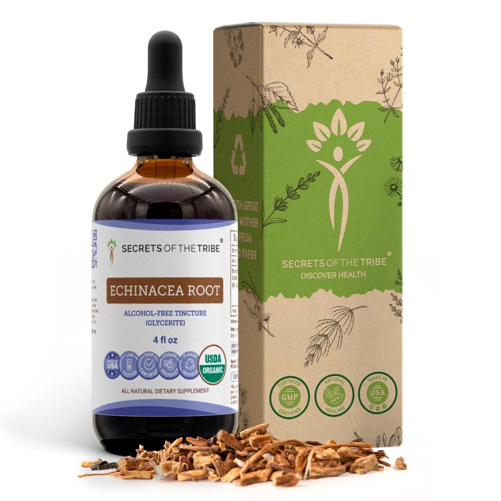 Racine d'échinacée Teinture biologique USDA Extrait sans alcool, gouttes à base de plantes à haut potentiel, santé du système immunitaire