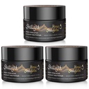 Shilajit Purest Himalayan Organic Shilajit Resin - Or Grade 100% Pureté Shilajit avec Acid Fulvic et 85+ Complexe Trace Minerals pour l'énergie et le soutien immunitaire, paquet de 3 (6 mois d'approvisionnement)
