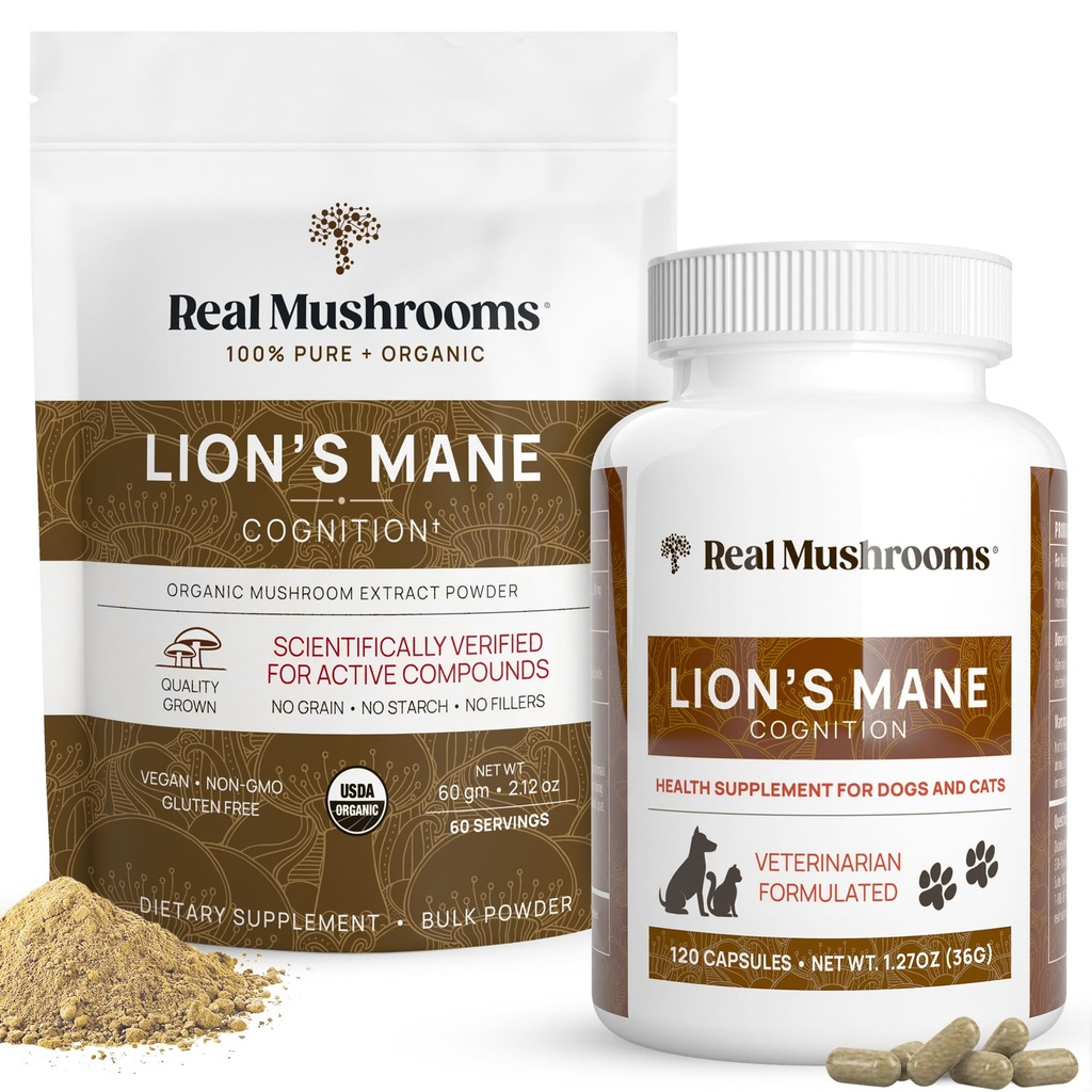 Véritables champignons Lions Lamane pour les humains (60 portions) et les animaux domestiques (120ct) - Poudre et capsules Ensemble pour la cognition et l'immunité - Vegan, Non-OGM, Sans gluten, Sans grains Extraits de champignons