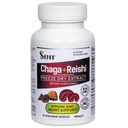 Sayan Sibérie Chaga et bio Reishi Supplément d'extrait de champignons – 90 Capsules/440mg Chaque - Wild-Harvested, mélange antioxydant pour le système immunitaire support + stimuler l'énergie naturelle, non-OGM, sans gluten