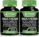 Irish Sea Moss Capsules, 17-en-1, Seamoss Black Seed Oil, 120 Count, Ashwagandha Burdock Root Capsules biologiques Bladderwrack