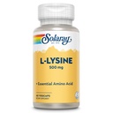 SOLARAY L Lysine 500 mg Capsules - Supplément d'acides aminés essentiels de forme libre - Powerful Wellness Support with L-Lysine Amino Acid - Lab Verified, Garantie de 60 jours, 60 portions, 60 VegCaps
