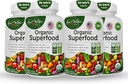 Complexe de fruits et légumes bio Superfood Greens - Meilleur complément alimentaire avec 14 verts et 14 fruits et légumes avec Alfalfa et ingrédients organiques antioxydants Non-OGM 240 capsules