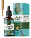 Teinture de lobelia HERBAMAMA - Extrait de feuille de lobelia végane pour désintoxication pulmonaire et nettoyage - gouttes de soutien respiratoire pulmonaire - Supplément de soutien respiratoire sans OGM, sans alcool et sans sucre