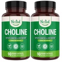Nested Naturals Bitartrate de Choline 500mg - Suppléments Choline à haute puissance - Soutient la santé maternelle et foetale pendant la grossesse* - 100% Vegan & Non-OGM - 2-Pack (180 Capsules Vegan)