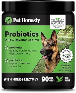 Animaux de compagnie Honnêteté Probiotiques pour chiens pour le soutien occasionnel de la diarrhée et du bowel, enzymes digestives avec prébiotiques pour la santé des chiens Gut, Immunity Health & Ditch Relief (Duck 90 ct)