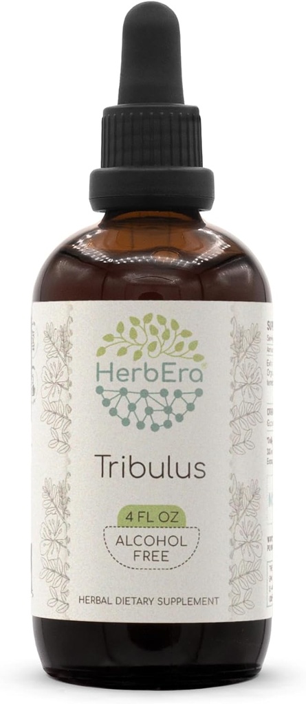 HerbEra Tribulus B120 Teinture d'extrait de plantes sans alcool, gouttes liquides concentrées Tribulus naturel (Tribulus Terrestris) Fruits séchés (4 fl oz)