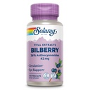 SOLARAY Bilberry Berry Extract 42 mg, Eye Health & Circulation Support, with 36% Anthocyanosides, Vegan, 120 VegCaps
