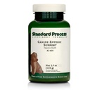Standard Process Canine Enteric Support, 110 g