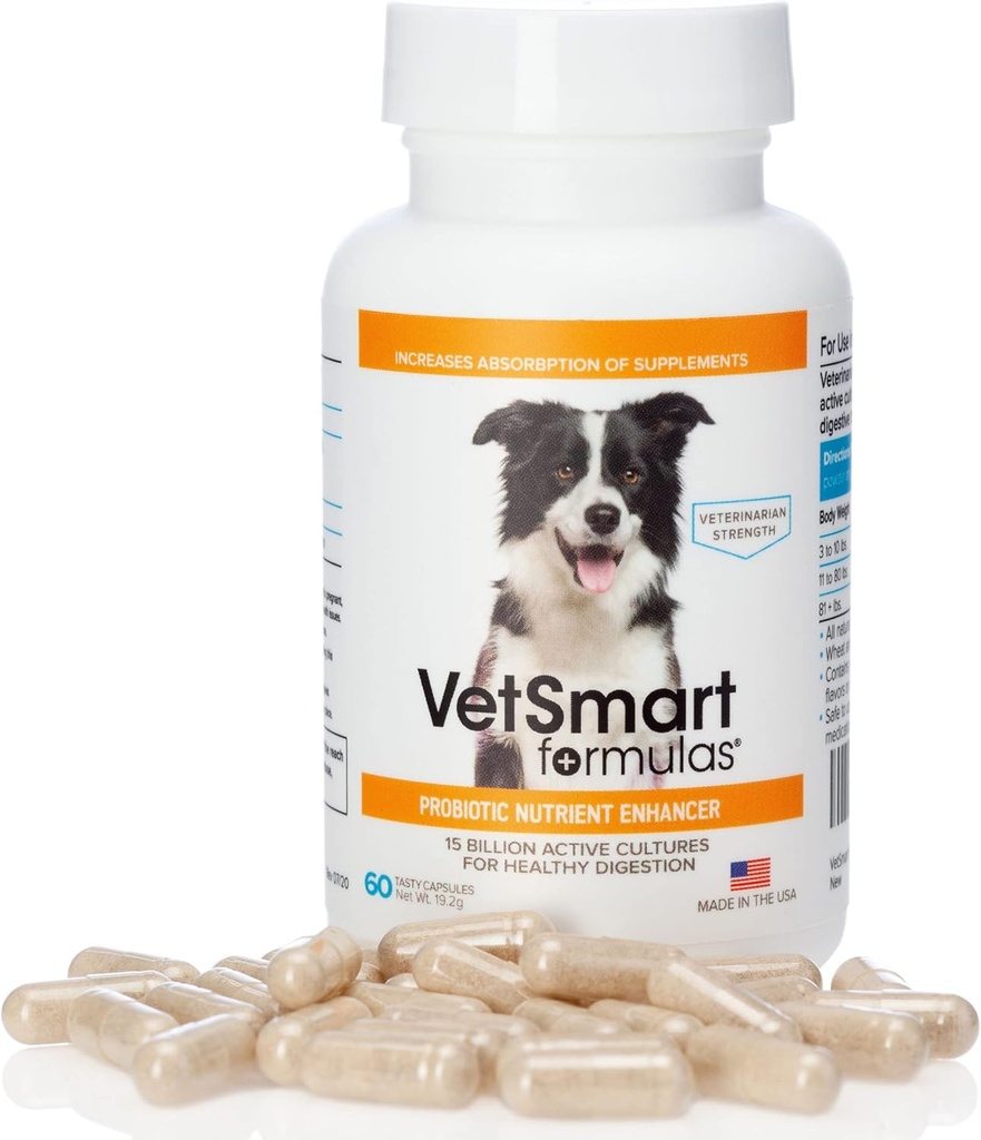 Supplément de probiotiques pour chiens - soutient les enzymes digestives pour l'absorption des nutriments - 15 milliards de cultures probiotiques actives Attaque Inflammation pour prévenir l'infection