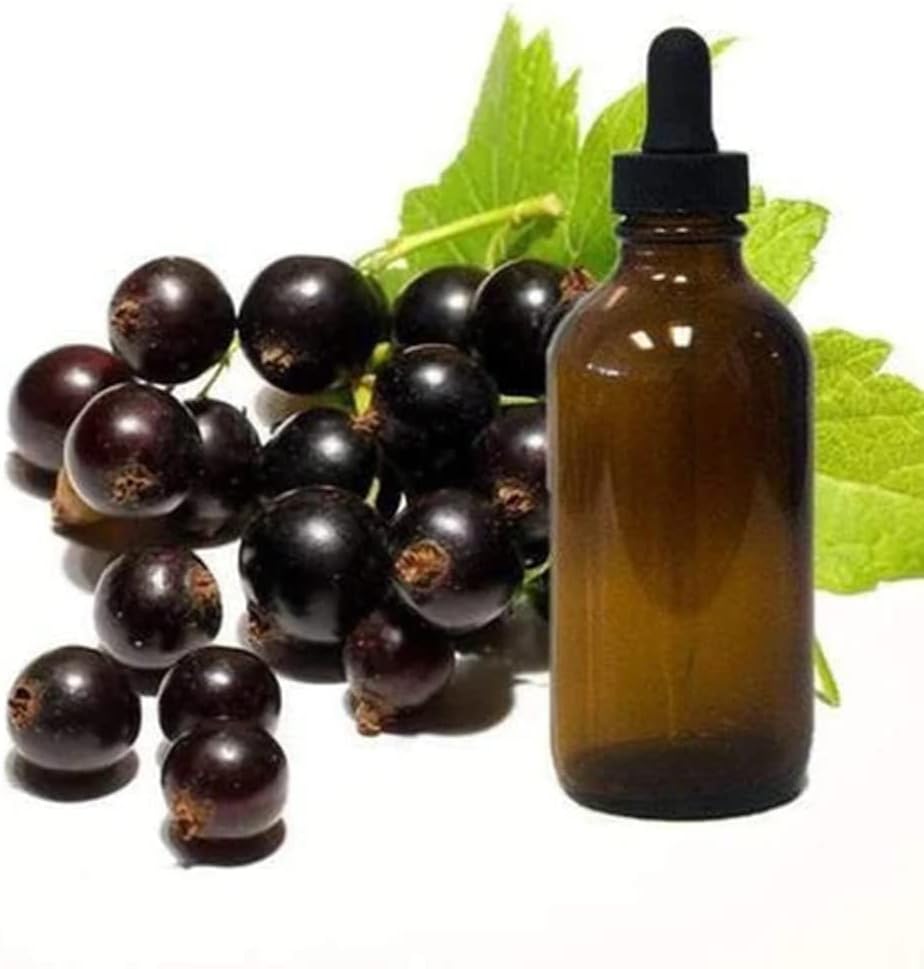 Huile de graines de groseille noire 8oz bouteille de verre