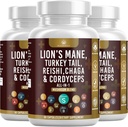 Supplément de champignons avec le Lion's Mane Turkey Tail Reishi Cordyceps Chaga Marshmallow Root - 180 Comte