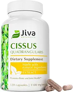 Jiva Botanicals Capsules de Cisus Quadrangularis 550 mg - Extrait de poudre de Cisus à haute puissance pour la santé normale des os et le soutien articulaire normal - 120 Capsules (paquet de 1)