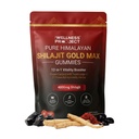 The Wellness Project 12-in-1 Shilajit Gold Max Gummies| 4000mg Pure Himalayan Shilajit, Saffron, Tongkat Ali, Ashwagandha, Maca Root, Gokshura| Fulvic Acid & Trace Minerals| No Added Sugar| 60 Gummies
