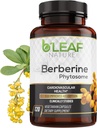 Leaf Nature Berberine Phytosome, 120 Capsules – 1100mg Berberine Supplément pour le soutien métabolique et cardiovasculaire – Végétaux, sans gluten, sans OGM Berberine Phytosome Capsules pour le bien-être immunitaire