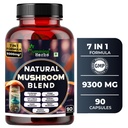 Humming Herbs Natural Mushroom Blend - 7in1 Immune Support Formula with Reishi, Chaga, Cordyceps Sinensis, Lion's Mane, Shiitake, Enoki, Oyster & Maitake Mushroom - 90 Capsules