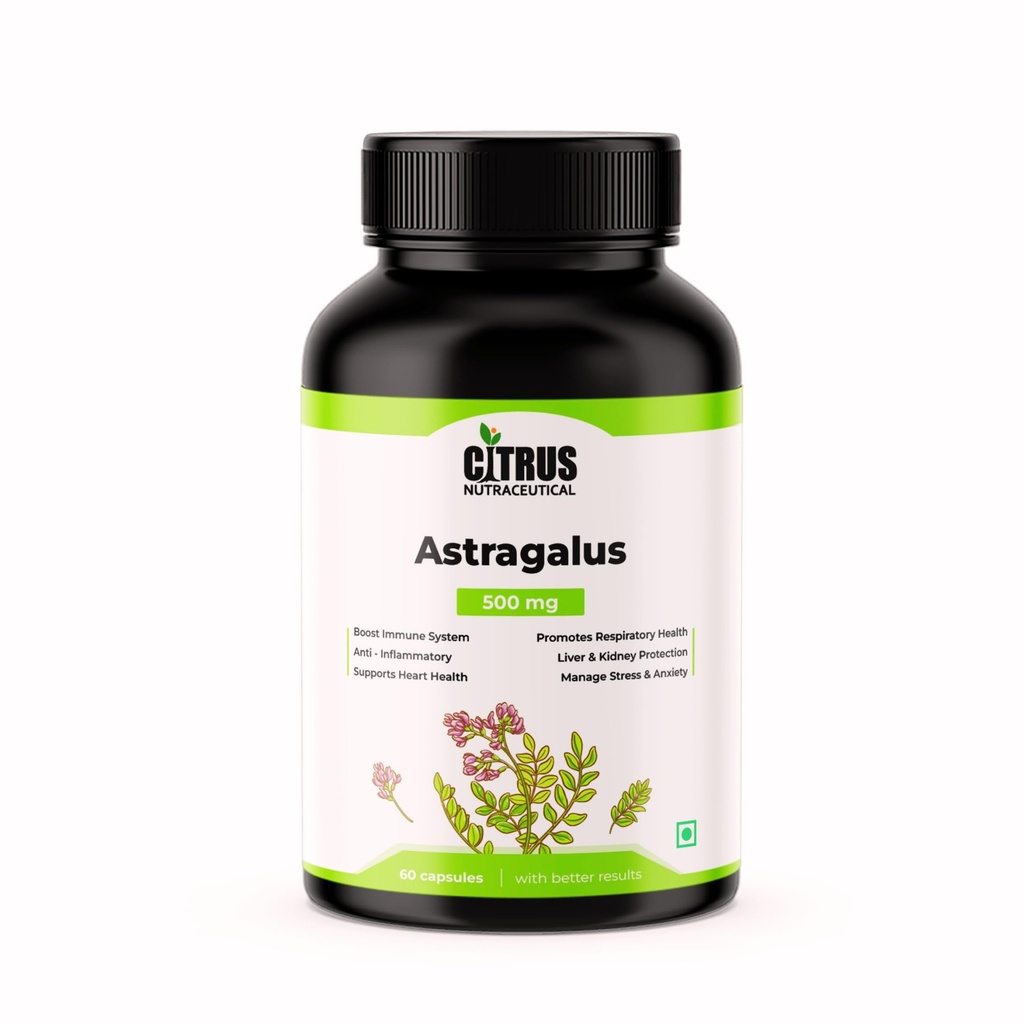 Astragalus Root Extract 500mg