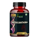 Humming Herbs Astaxanthin Plus with Coenzyme Q10 & Berberis Aristata for Great Antioxidant Support - Promotes Skin Health, Eye Protection & Joint Comfort