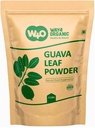 Guava Leaf Powder (100% Natural & Pure), Guava Leaf Tea, Hair Re-Growth, Skin & Nails, No Preservatives, 100% Pure Guava Leaves (Pack of 1)