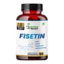 Humming Herbs Fisetin Supplement with NAC, EGCG, Curcumin & Astaxanthin | 5-in-1 Formula | Nutraceutical Capsules (60)