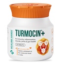 Healing Hands Turmocin Plus Tablet with Curcumin 95% (1st Molecularly Validated) & Pepper for Wound Healing, Gut Health, Immunity, Inflammation Relief, IBS & IBD Care, Clinically Proven - 30 Tablets