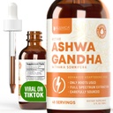 Rejuvica Health Active Ashwagandha - Supplément liquide avancé - Extrait de Somnifera Withania - Racines d'Ashwagandha seulement - Withanolides naturellement présents