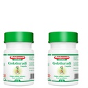 Baidyanath Asli Ayurved Gokshuradi Guggulu 80 tabs - For retention and painful micturition (Pack of 2)