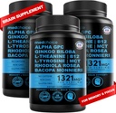 12-en-1 Supplément Cerveau Nootrope Anhydre: Ginkgo Biloba pour le soutien, la mémoire et la focalisation du cerveau - B12, Alpha GPC, L Theanine et Suppléments Choline avec Bioperine non caféiné 1321mg (180ct)