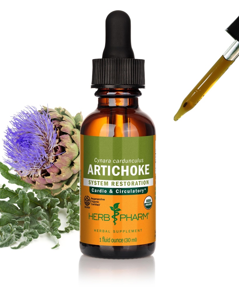 Extrait liquide d'artichaut biologique certifié Herb Pharm pour support cardiovasculaire et circulatoire - 1 once