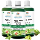 Giloy/Guduchi Ayurvedic Juice 500 ml (Pack of 3) | Natural & Healthy for Blood Purification,Strength & Immunity Booster | Body Detox for Women & Men | Blend of Giloy, Amla & more