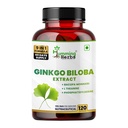 Humming Herbs Ginkgo Biloba 996.9mg with Bacopa, L-Theanine, Phosphatidylserine, Vitamin B6, Vitamin B12, Magnesium, Folic Acid & Zinc | 9-in-1 Daily Nutrition Blend | 996.9mg | 120 Veg Capsules