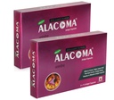 Shrey's Alacoma with Bilberry, Pine Bark & Ginkgo Biloba – Brain & Eye Support Supplement – Natural Antioxidants for Focus & Circulation – Capsules – 30 Capsules – Pack of 2