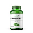 Simply Herbal Ginkgo Biloba 120mg With Bacopa Monnieri Extract Brahmi 380mg for Better Concentration, Improves Blood Circulation, Enhance Alertness, Memory & Learning, 90 Capsules