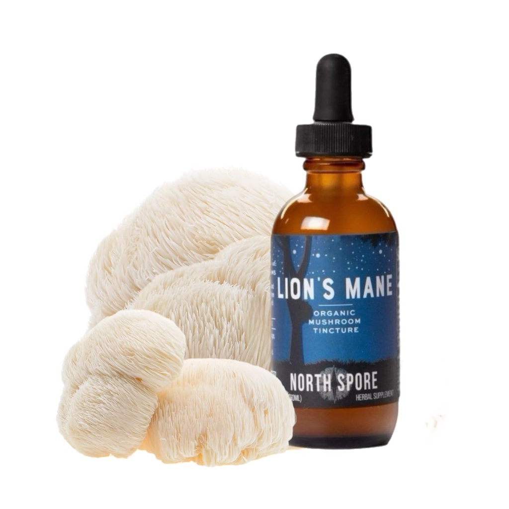 North Spore Bio Lion's Mane Mushroom Tection (2 oz) - Extraits 100% Fruits pour Focus, Mémoire, Soutien Cerveau -Certifié biologique, végétalien, non-OGM Adaptogène, Nootropique - Fabriqué aux États-Unis