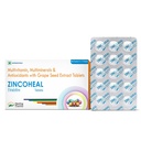 Healing Pharma - Zincoheal Tablet | Zinc & Vitamin C Supplement with Multivitamins | Daily Immunity Booster, Energy Support & Antioxidant Supplement for Men & Women (2 x 15 Tabs)