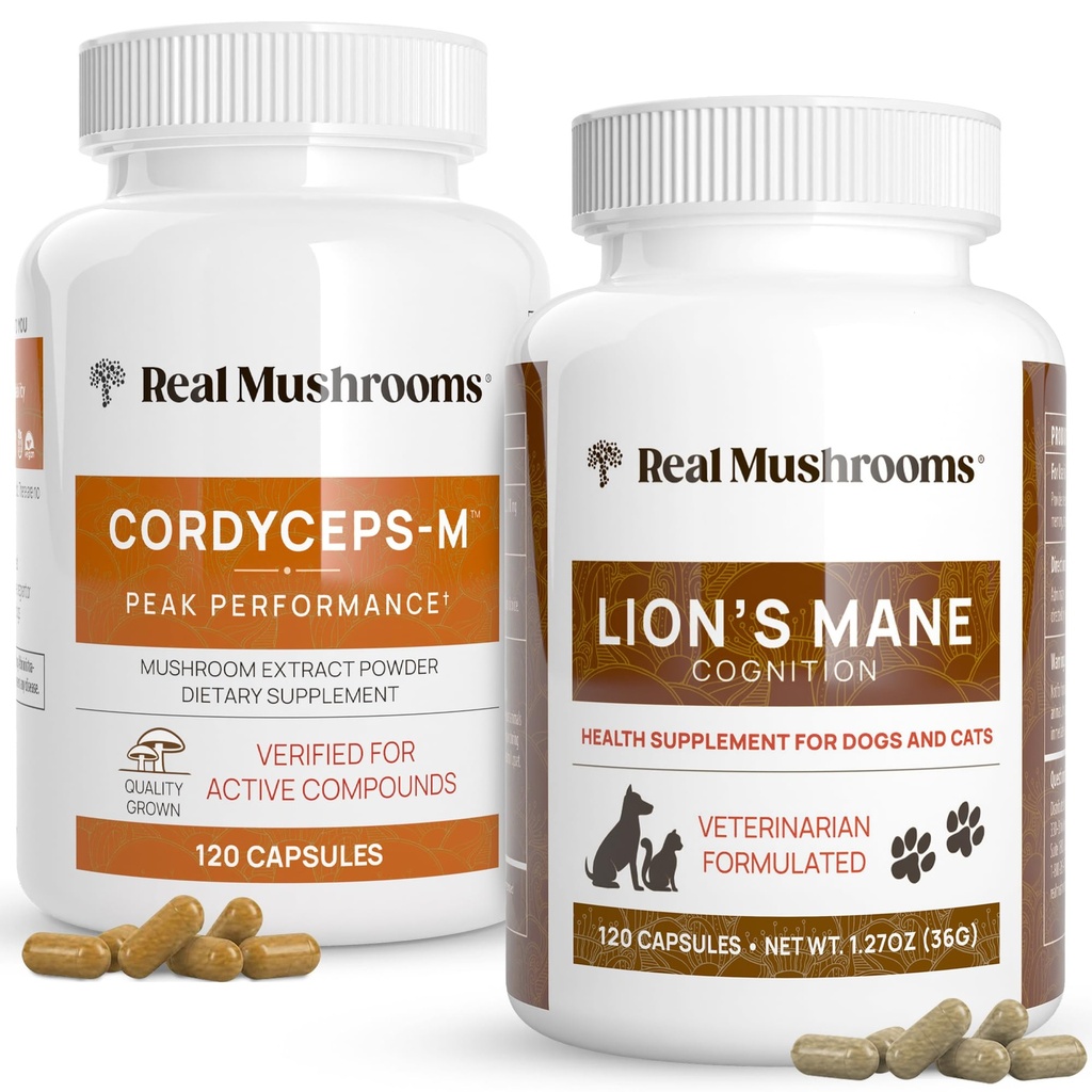 Véritables champignons Cordyceps pour les humains (120ct) et Lions Manille pour les animaux (120ct) - Bundle pour l'énergie, la vitalité et la cognition - Vegan, non-OGM, sans gluten, sans céréales Extraits de champignons