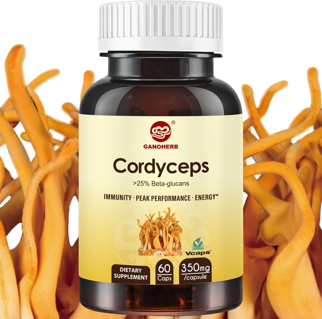 Capsules Cordyceps, Poudre de supplément d'extrait de champignons avec 31% Beta Glucan pour la performance, l'énergie et le système immunitaire support, 700mg, 60 Compte, biologique et végétalien