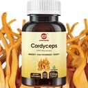 Capsules Cordyceps, Poudre de supplément d'extrait de champignons avec 31% Beta Glucan pour la performance, l'énergie et le système immunitaire support, 700mg, 60 Compte, biologique et végétalien