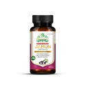 Shudh Extracts Jamun Capsule -10X Power Herbal Extract for Advanced Blood Sugar Management, Antioxidant Defense, and Blood Purification - 30 Capsules