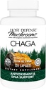 Host Defense Chaga Capsules - Supplément de soutien du système immunitaire - Chaga Capsules de champignons pour le soutien de l'activité antioxydante - Supplément de champignons diététiques - 120 Capsules (60 portions)*
