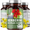 N°1 Nutrition N1N Premium Berberine Plus 120 Caps, 1200mg, Supplément naturel soutient l'anti-âge, la santé cellulaire, l'énergie et la digestion
