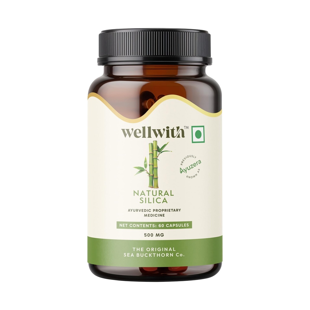 Wellwith by Ayuzera Natural Silica With Bamboo Extract 500 mg, Food Supplement (60Capsule) |PACK OF 2