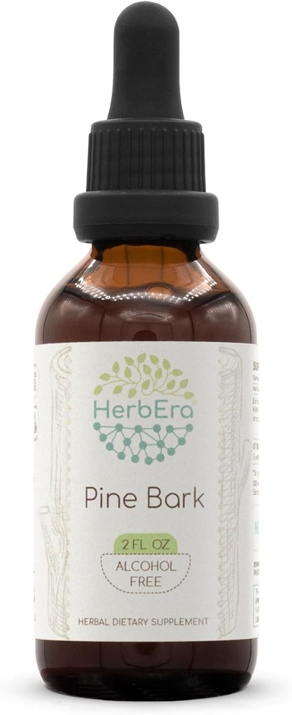 Teinture d'extrait d'herbe sans alcool, gouttes liquides concentrées Barre naturelle de pin (proanthocyanidine) Barre séchée 2 fl oz