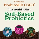 Meilleurs Jours Formule Avancé 5-en-1 Support Gut pour Bloating, Gas & Irrégularité , Probiotiques à base de sol + Prébiotiques, L-Glutamine, Aloe Vera et plus 60 Capsules