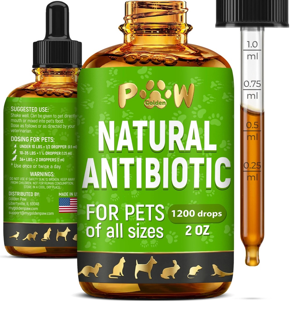 Antibiotiques pour chiens pour l'infection, Toux, UTIs, Allergies, Démangeaisons