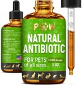 Antibiotiques pour chiens pour l'infection, Toux, UTIs, Allergies, Démangeaisons