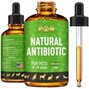Antibiotiques pour chiens pour l'infection, Toux, UTIs, Allergies, Démangeaisons