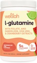 Wellah L-Glutamine Poudre de pastèque Lime (50 portions) - 5g L-Glutamine par portion, sucré avec Stevia